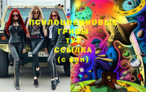 spice Новозыбков