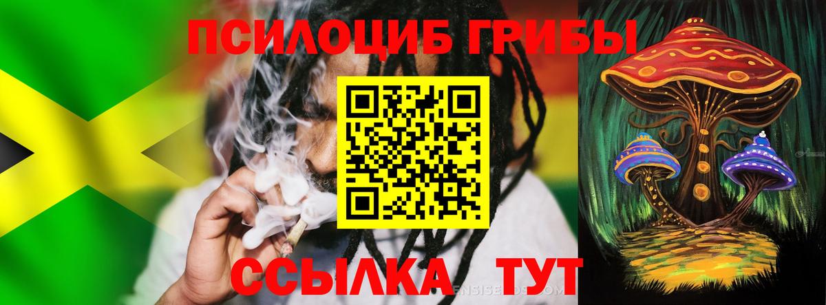 Псилоцибиновые грибы мицелий  Галлюциногенные грибы Psilocybe  Вход с VPN  закладка  Сафоново 