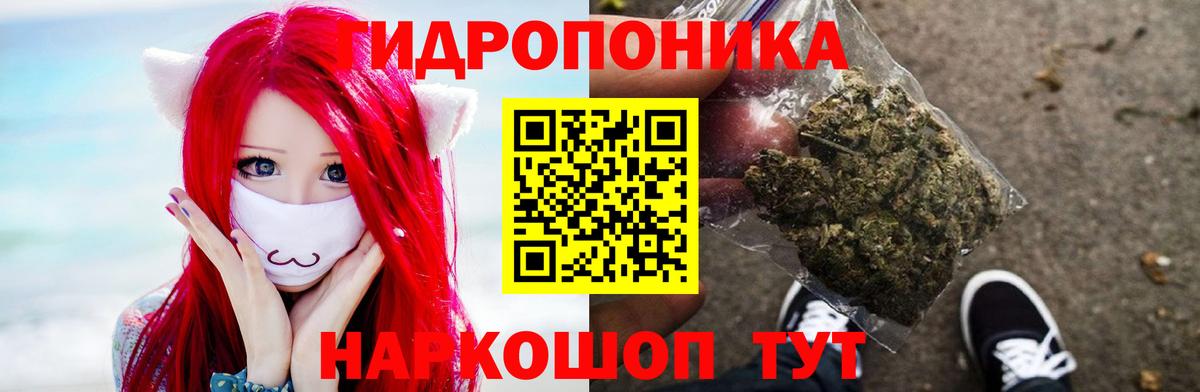 Конопля White Widow Сафоново